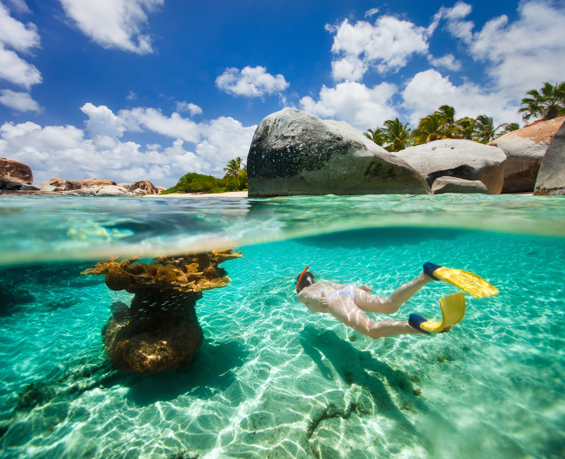 british virgin islands